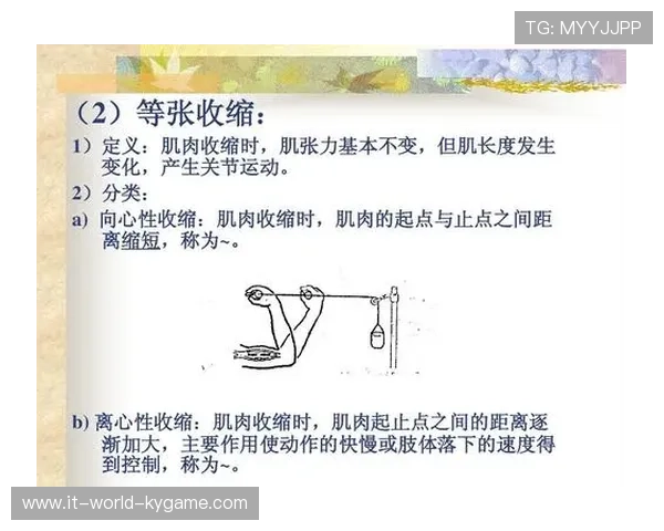 2026年游泳训练科研中心发布青少年专项耐力训练教材V5,游泳速度耐力训练计划 2026年游泳训练科研中心发布青少年专项耐力训练教材V5,游泳速度耐力训练计划