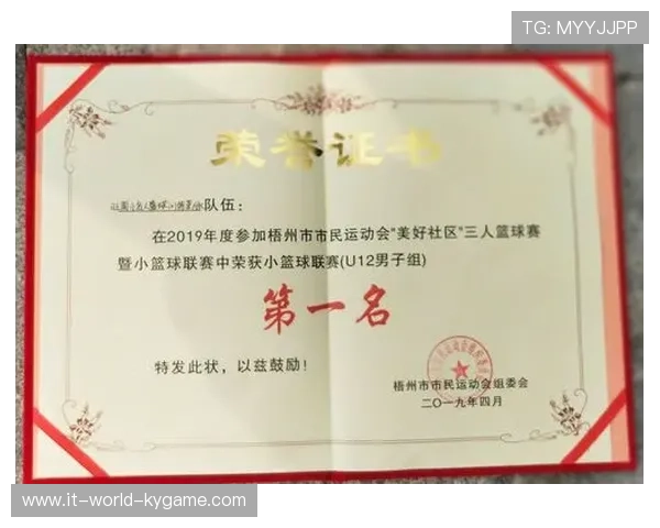 世界篮球学院建立导师制度为学员提供职业发展咨询,篮球教授是什么意思 世界篮球学院建立导师制度为学员提供职业发展咨询,篮球教授是什么意思